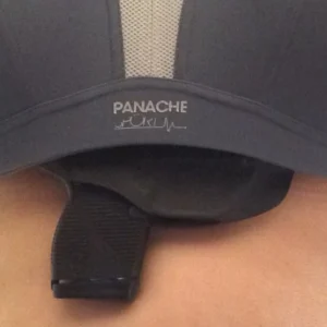 Bra Holster