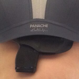 Bra Holster